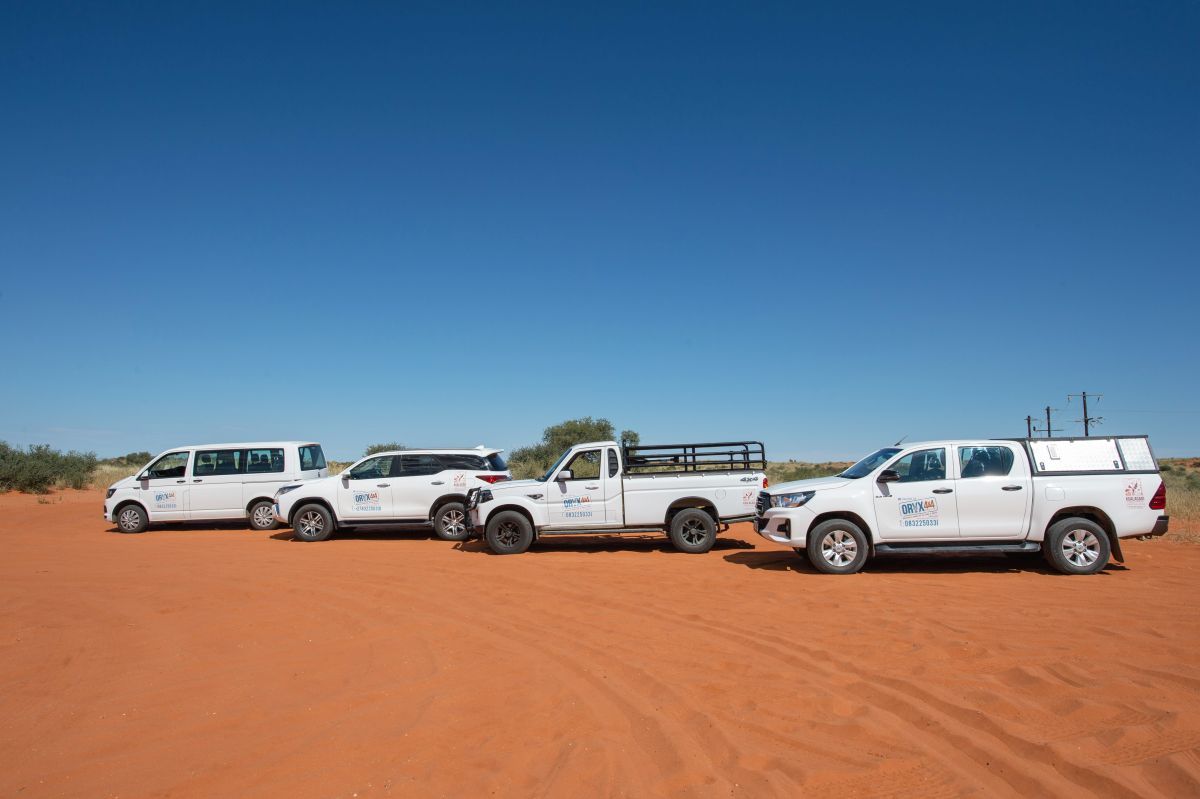 The 4x4 fleet on red sand — Kgalagadi Lifestyle Lodge