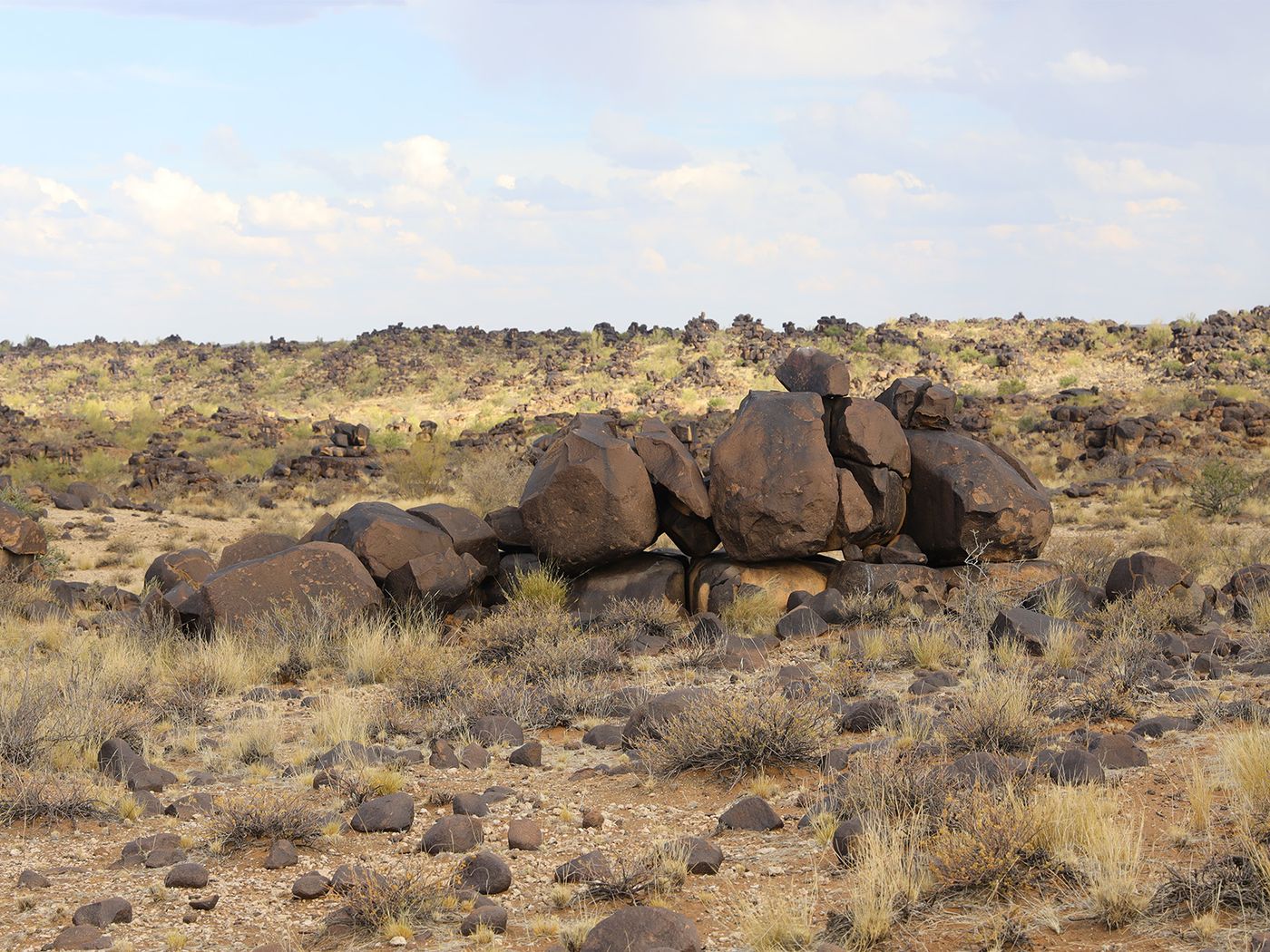 The koppie — Koppieskraal Camel Farm