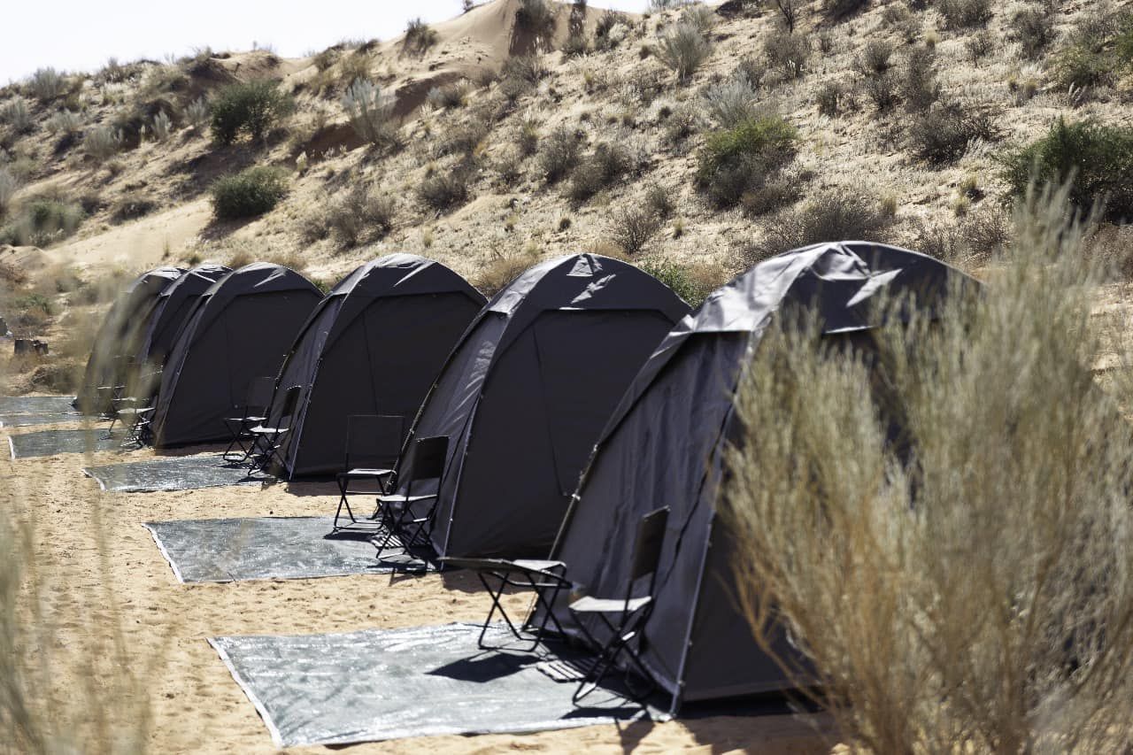 The tents in a row — Thirstland Trails