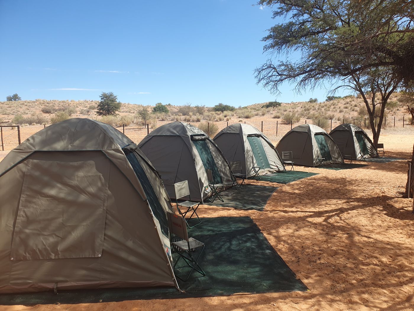 Camp under the camelthorns — Thirstland Trails