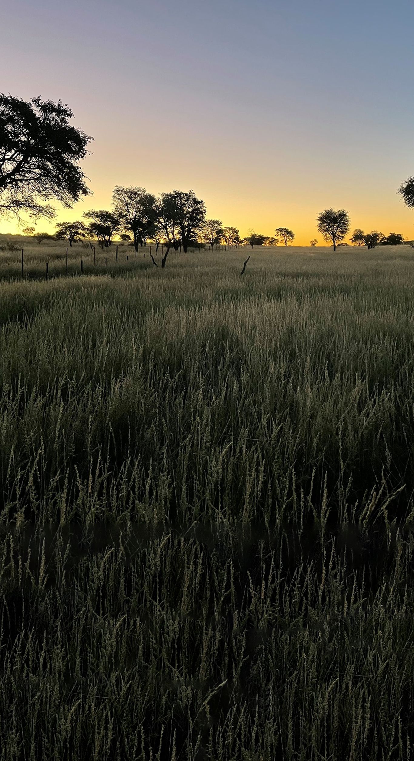 Last light — Thirstland Trails