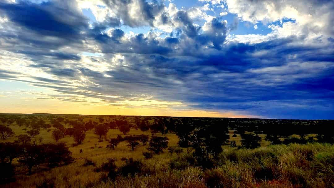 Kalahari sky — Torgos Lodge