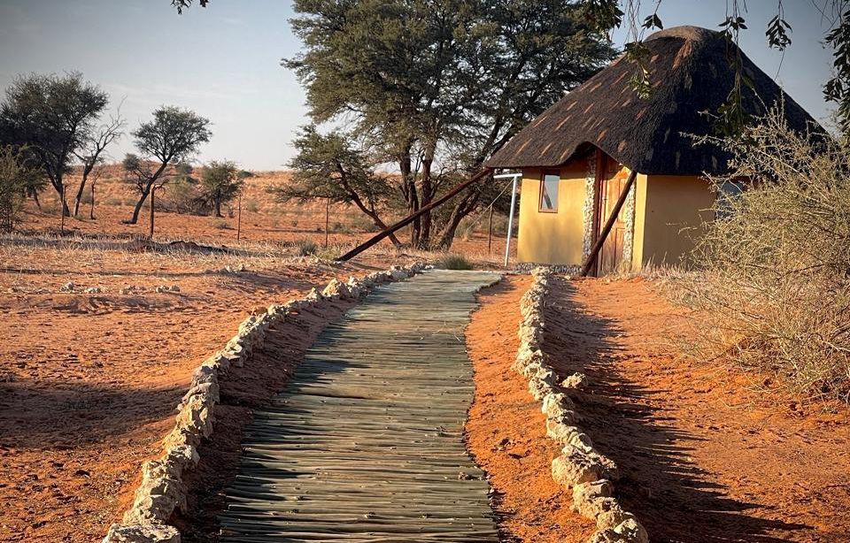 The red road in — Vischgat Game Farm
