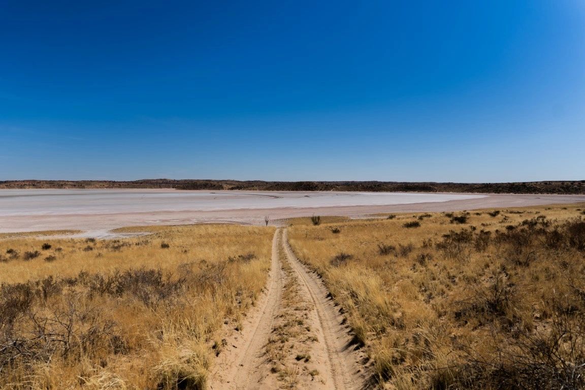 The track down to the pan — Zoutpanputs Game Lodge