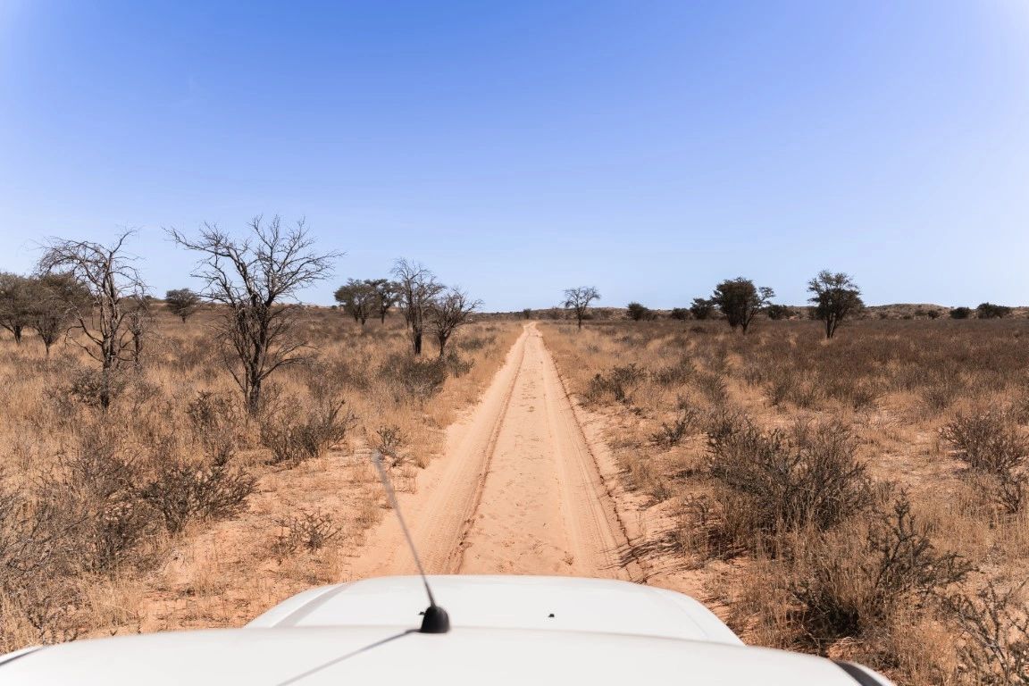 The road out — Zoutpanputs Game Lodge