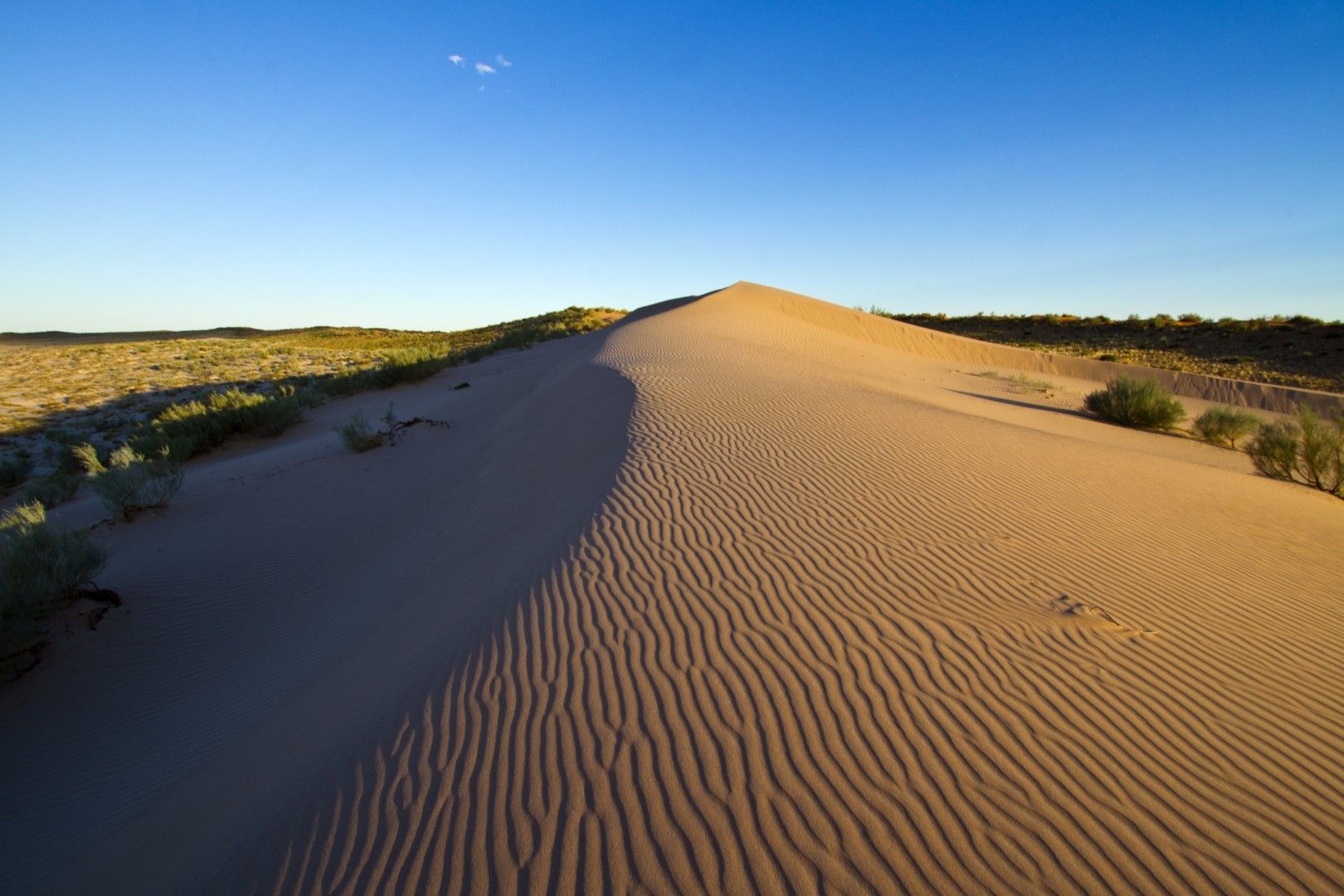 A red dune on the route, its windward face rippled by the wind