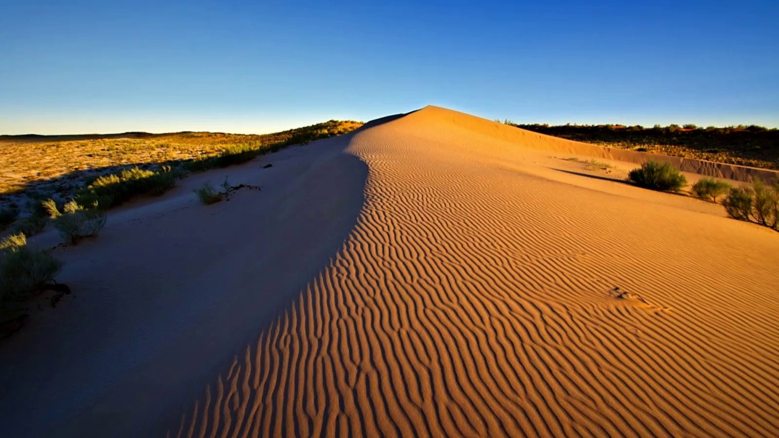 The red dunes at Rooipan, the association's own photograph, breathing under a slow camera push